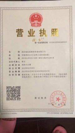 武漢淘樂思教育咨詢公司 深耕教育咨詢，賦能學習未來